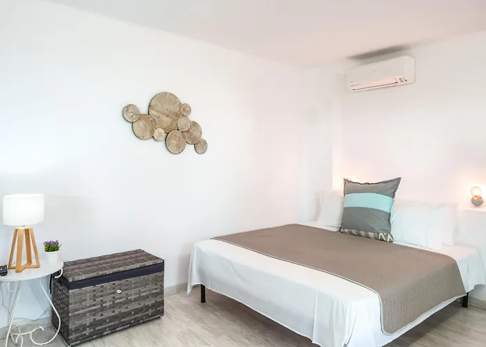 Luna Rossa Milos - Lavender Προβατάς